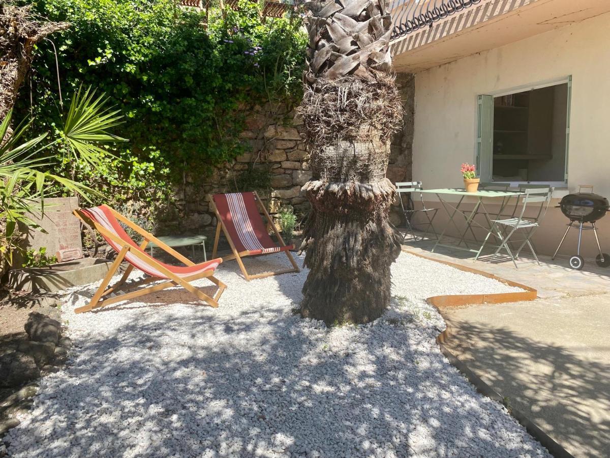 Gite Le Palmier - Perfectly Located Cosy Studio With Private Garden Puissalicon Exterior foto